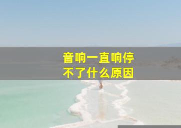 音响一直响停不了什么原因