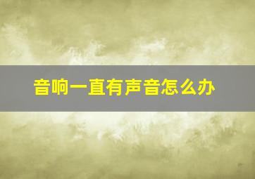 音响一直有声音怎么办