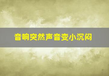 音响突然声音变小沉闷