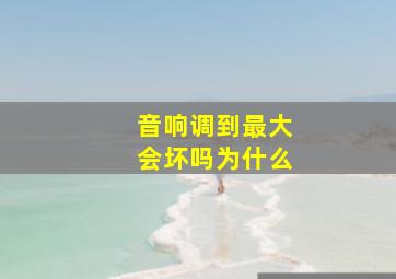 音响调到最大会坏吗为什么