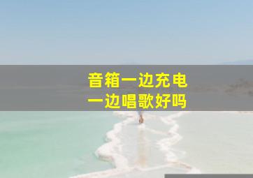 音箱一边充电一边唱歌好吗