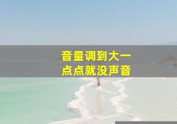 音量调到大一点点就没声音