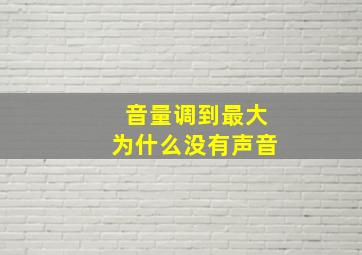 音量调到最大为什么没有声音