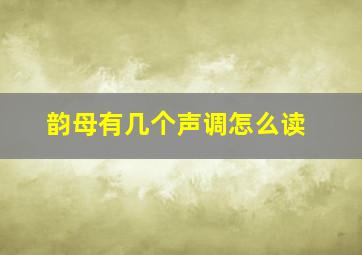 韵母有几个声调怎么读