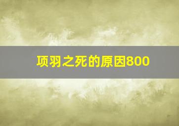 项羽之死的原因800