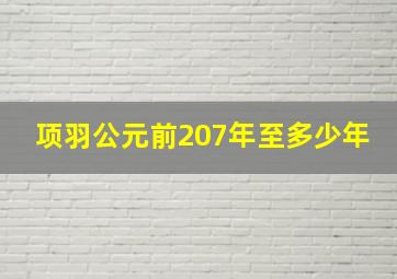 项羽公元前207年至多少年