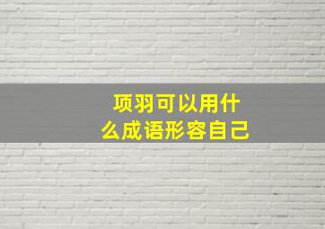 项羽可以用什么成语形容自己