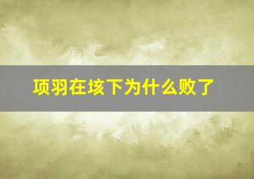 项羽在垓下为什么败了