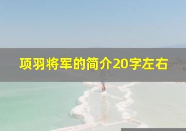 项羽将军的简介20字左右