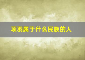 项羽属于什么民族的人