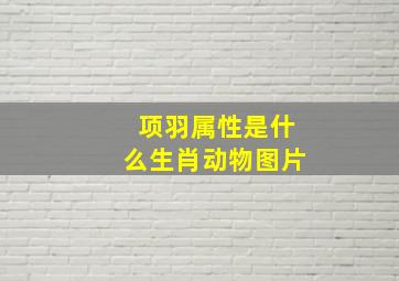 项羽属性是什么生肖动物图片