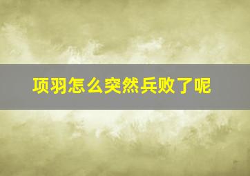 项羽怎么突然兵败了呢