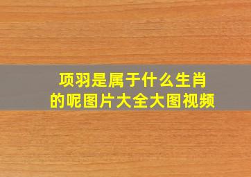 项羽是属于什么生肖的呢图片大全大图视频