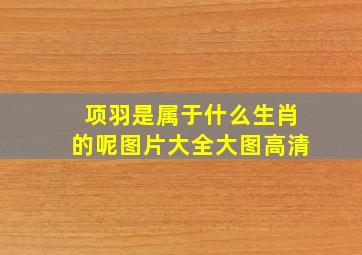 项羽是属于什么生肖的呢图片大全大图高清