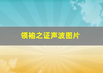 领袖之证声波图片