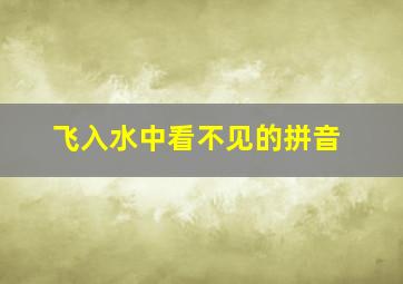 飞入水中看不见的拼音