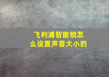 飞利浦智能锁怎么设置声音大小的