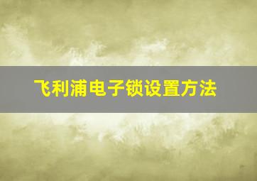 飞利浦电子锁设置方法