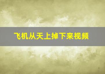 飞机从天上掉下来视频