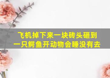 飞机掉下来一块砖头砸到一只鳄鱼开动物会睡没有去