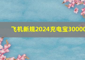 飞机新规2024充电宝30000