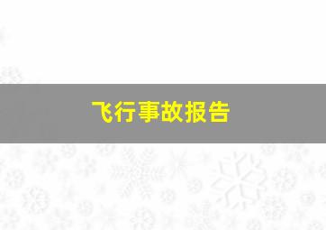 飞行事故报告