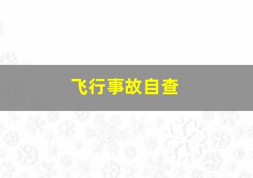 飞行事故自查