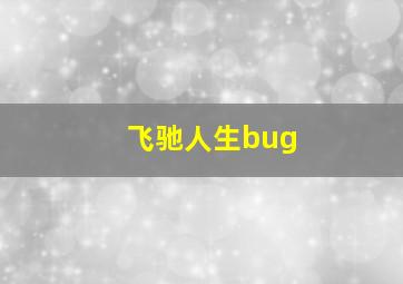 飞驰人生bug