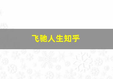 飞驰人生知乎