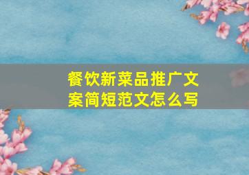 餐饮新菜品推广文案简短范文怎么写