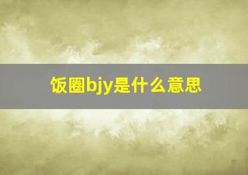 饭圈bjy是什么意思