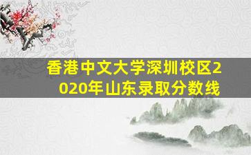 香港中文大学深圳校区2020年山东录取分数线