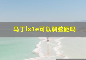 马丁lx1e可以调弦距吗