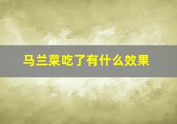 马兰菜吃了有什么效果