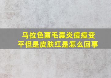 马拉色菌毛囊炎痘痘变平但是皮肤红是怎么回事