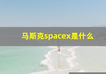 马斯克spacex是什么