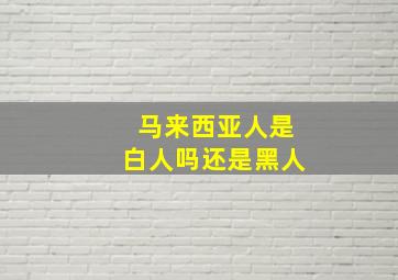 马来西亚人是白人吗还是黑人