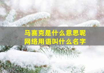 马赛克是什么意思呢网络用语叫什么名字