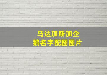 马达加斯加企鹅名字配图图片