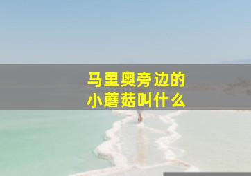 马里奥旁边的小蘑菇叫什么