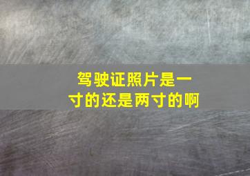 驾驶证照片是一寸的还是两寸的啊