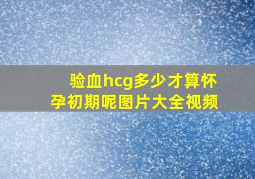 验血hcg多少才算怀孕初期呢图片大全视频