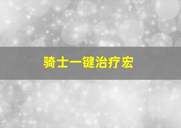 骑士一键治疗宏