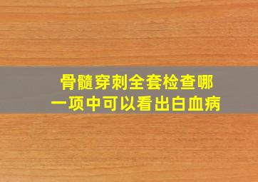 骨髓穿刺全套检查哪一项中可以看出白血病