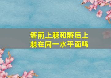 髂前上棘和髂后上棘在同一水平面吗