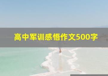 高中军训感悟作文500字