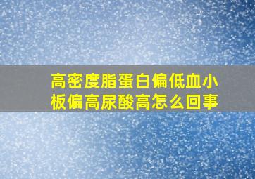 高密度脂蛋白偏低血小板偏高尿酸高怎么回事