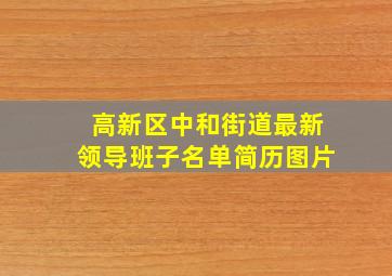 高新区中和街道最新领导班子名单简历图片