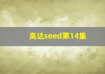 高达seed第14集