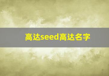 高达seed高达名字